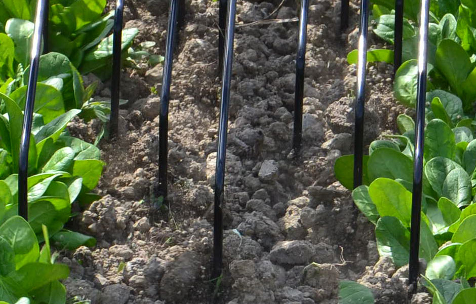 Grada de púas flexibles Treffler