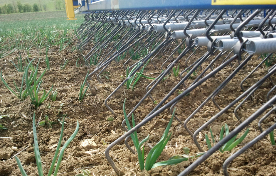 Grada de púas flexibles Treffler