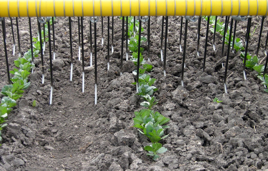 Grada de púas flexibles Treffler