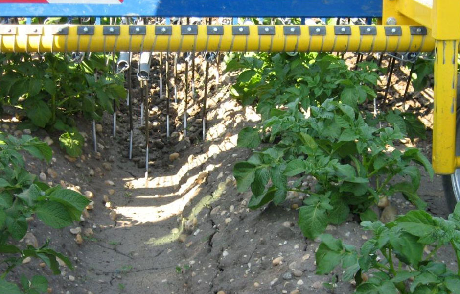 Grada de púas flexibles Treffler