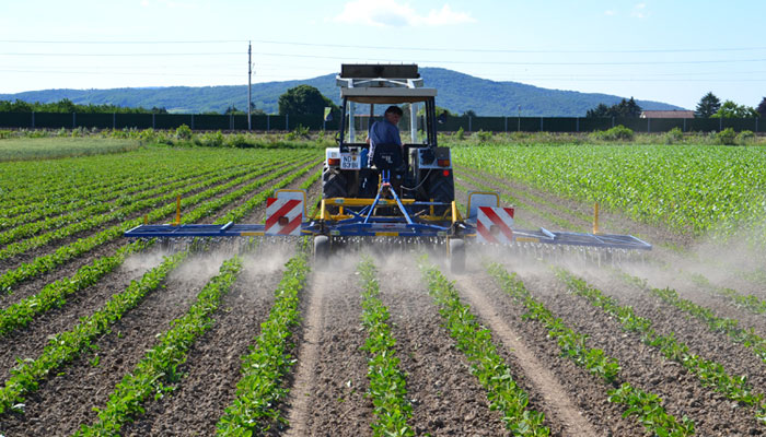 Grada de púas flexibles Treffler