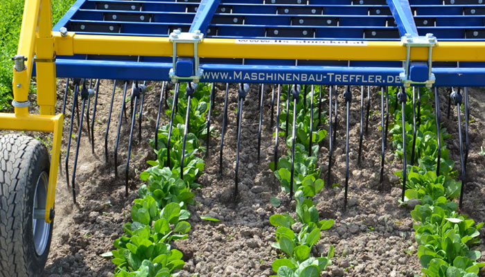 Grada de púas flexibles Treffler